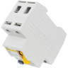 Выключатель дифференциальный (УЗО) IEK ВД1-63 2Р 50А 100мА - MDV10-2-050-100